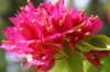 dsc03502_small.jpg