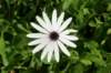 dsc03503_small.jpg