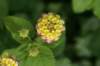 dsc03506_small.jpg