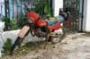 dsc03513_small.jpg