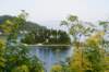 dsc035151_small.jpg