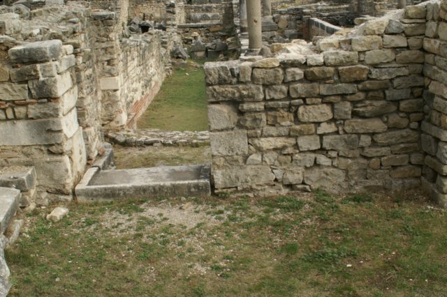 dsc03644.jpg