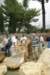 dsc03654_small.jpg