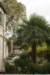 dsc03664_small.jpg