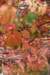 dsc03665_small.jpg
