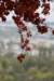 dsc03666_small.jpg
