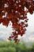 dsc03667_small.jpg