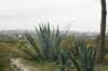 dsc03668_small.jpg