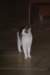dsc03699_small.jpg