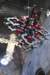 dsc03714_small.jpg