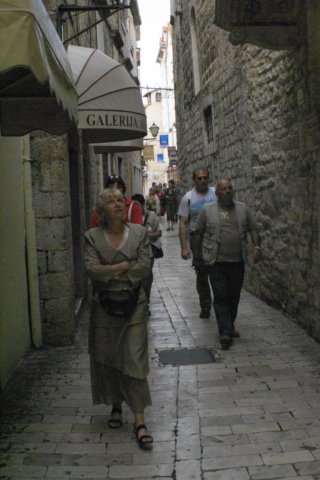 dsc037271.jpg