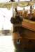 dsc03741_small.jpg