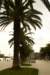 dsc03752_small.jpg
