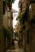dsc03753_small.jpg