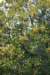 dsc03759_small.jpg