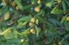 dsc03761_small.jpg