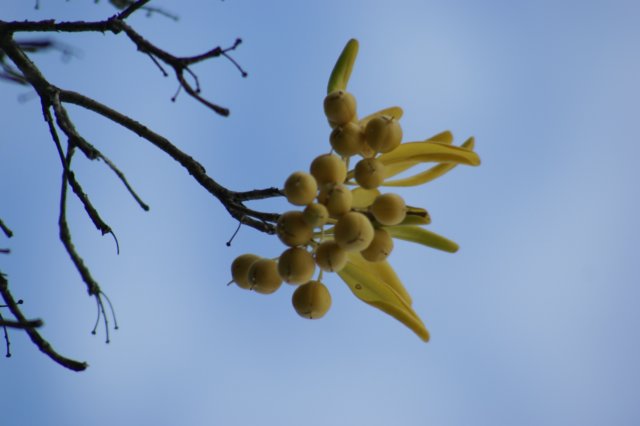 dsc03762.jpg