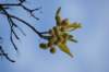 dsc03762_small.jpg