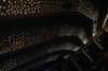 dsc03827_small.jpg