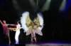 dsc03831_small.jpg