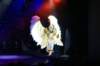 dsc03833_small.jpg