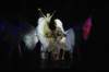 dsc038351_small.jpg