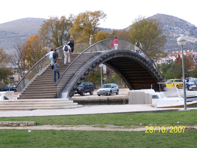 _2077.jpg