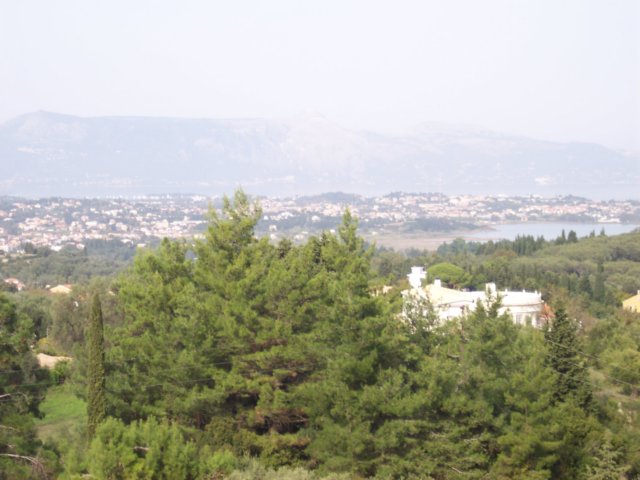 _1337.jpg