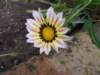 _1351_small.jpg