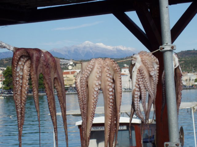 pa250590.jpg