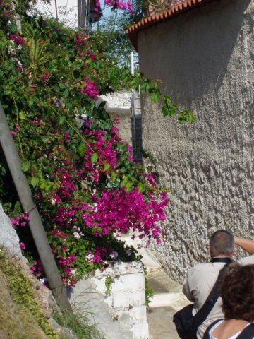 pa250592.jpg