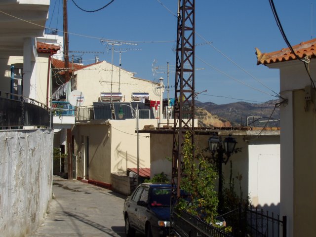 pa250595.jpg