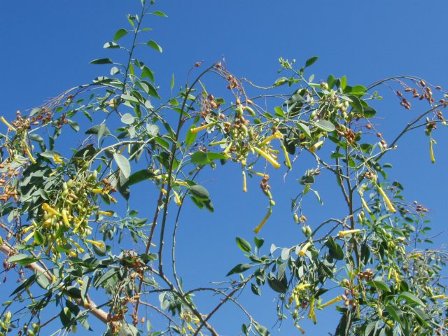pa250602.jpg