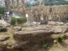 pa260630_small.jpg