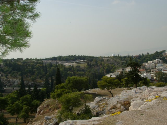 pa260647.jpg