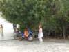 pa260650_small.jpg