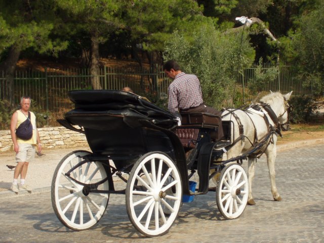 pa260652.jpg