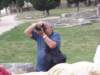pa280769_small.jpg