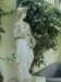 pc270682_small.jpg