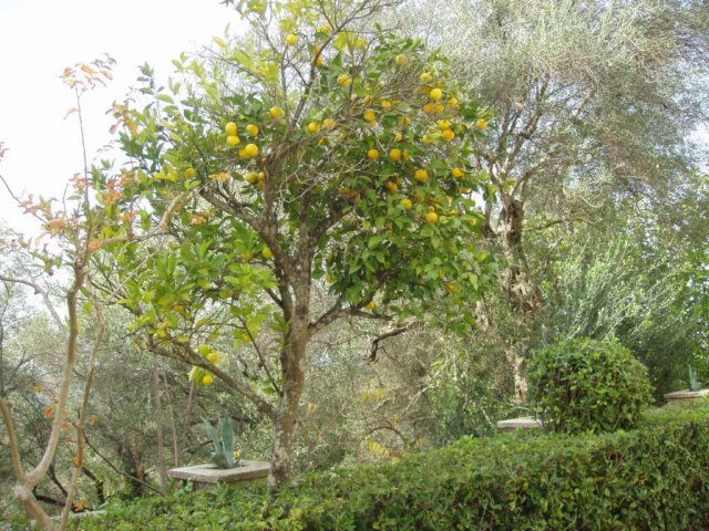 pc270708.jpg