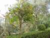 pc270708_small.jpg