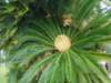 pc270721_small.jpg