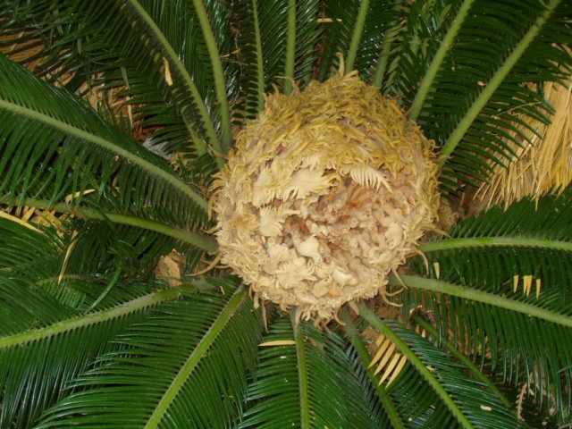 pc270722.jpg