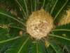 pc270722_small.jpg
