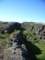 latranchedepingvellir_small.jpg